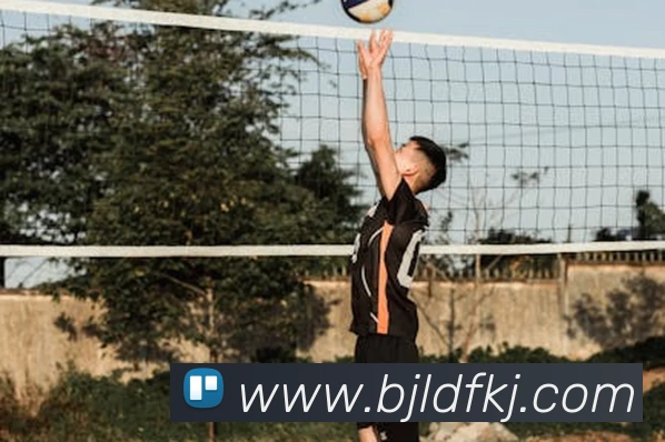 巅峰国际品牌故事