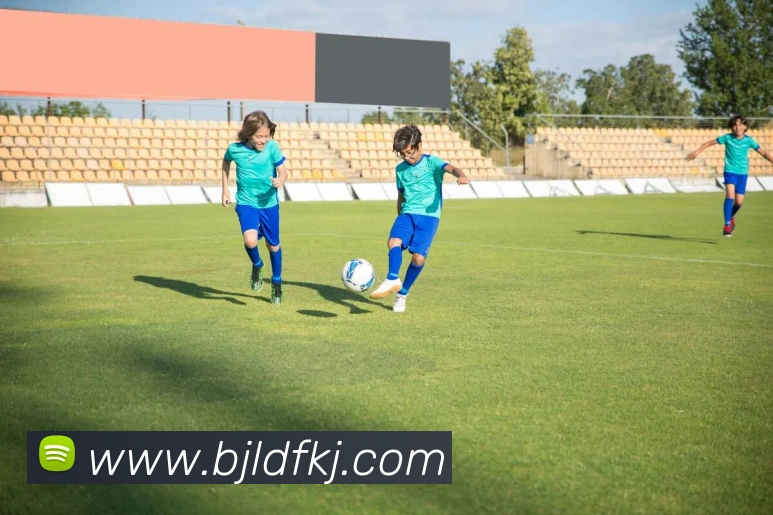 巅峰国际服务体系